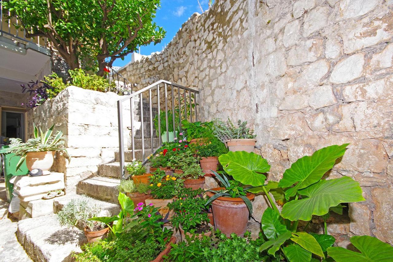 Villa Igrane Apartment